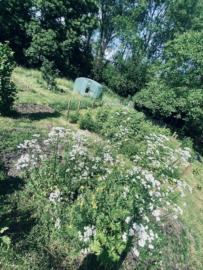 Founding garden